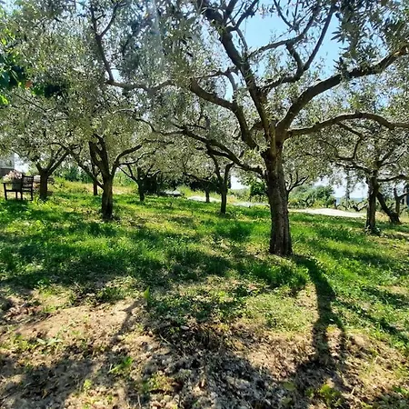 Apartma Bajc Daire Sečovlje
