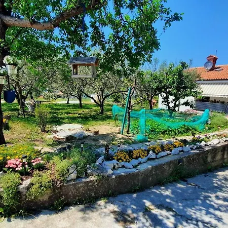 Apartma Bajc Daire *