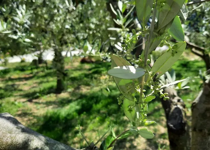 Apartma Bajc Apartamento Sečovlje