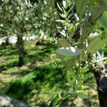 Apartma Bajc Apartamento Sečovlje