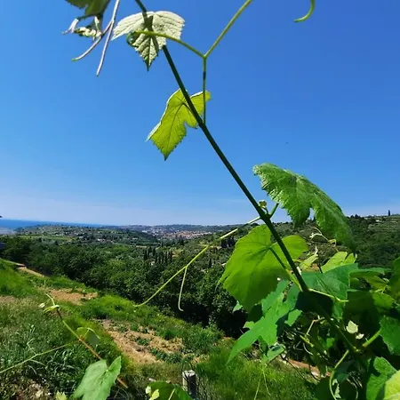 Apartma Bajc * Sečovlje