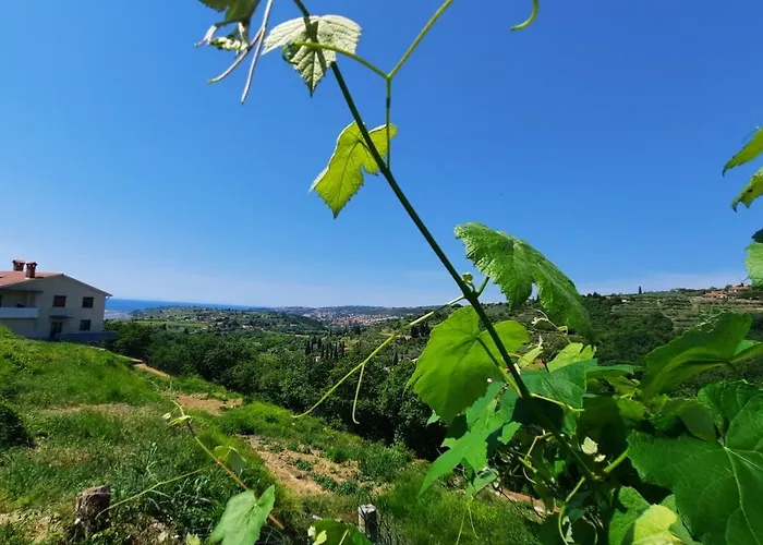Apartma Bajc * Sečovlje
